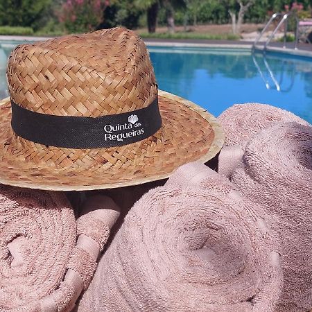 Quinta Das Regueiras Візеу Екстер'єр фото
