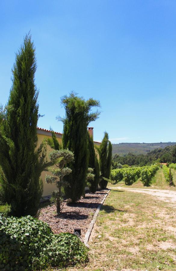 Quinta Das Regueiras Візеу Екстер'єр фото